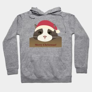 Merry Christmas Hoodie